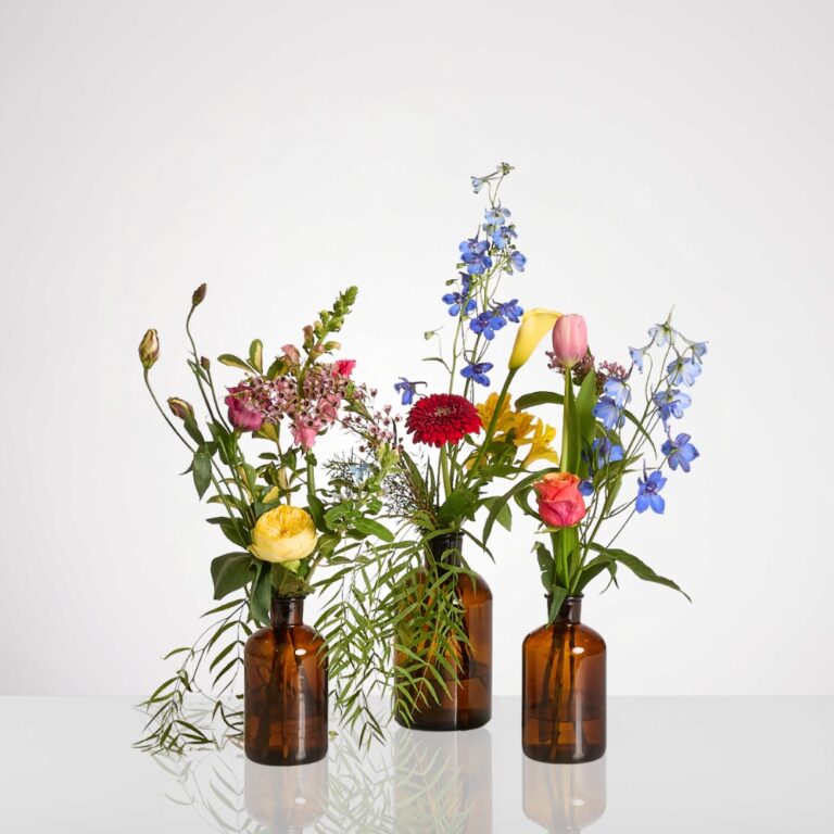 3D ירוק ורוד