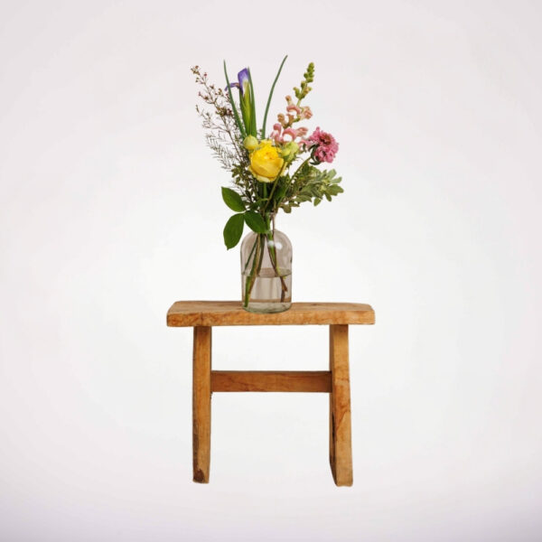 ⁦פרחונית קטנה⁩ – תמונה ⁦4⁩