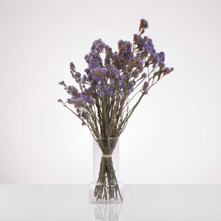 עד עד סגול כלי שקוף