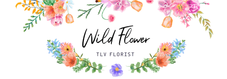 WF mail header