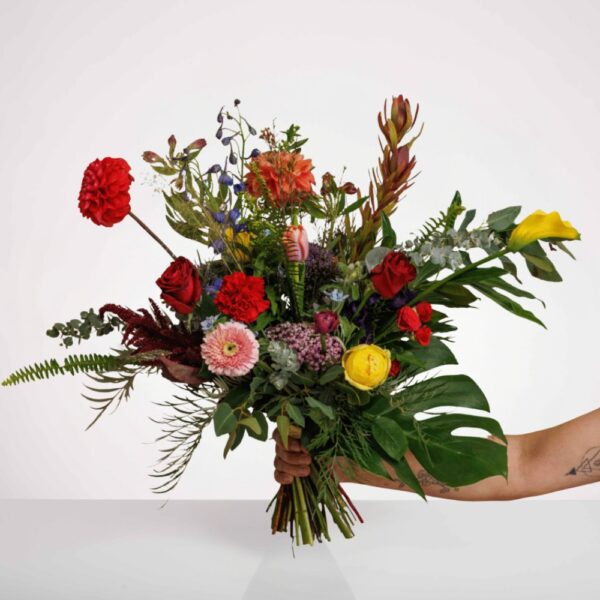 ⁦פסטיבל צבעוני⁩ – תמונה ⁦2⁩