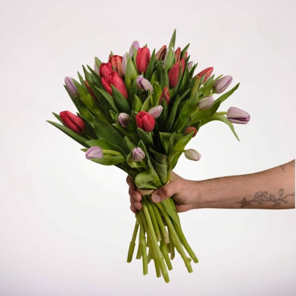Tulips Bunch