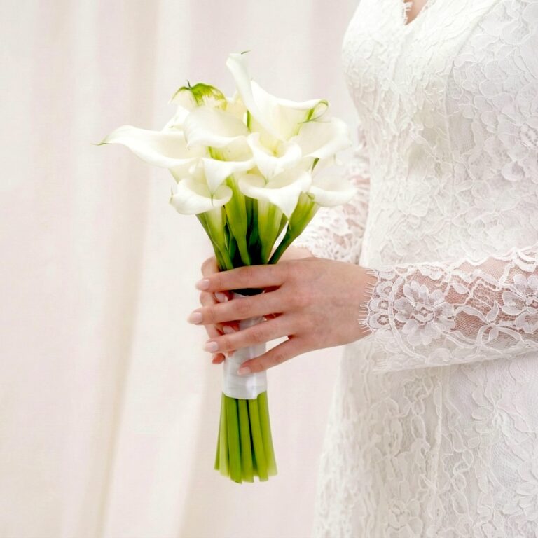 עציצים - כלה קלה