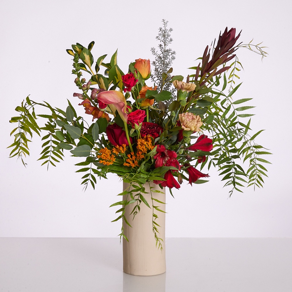 150 winter color - 1