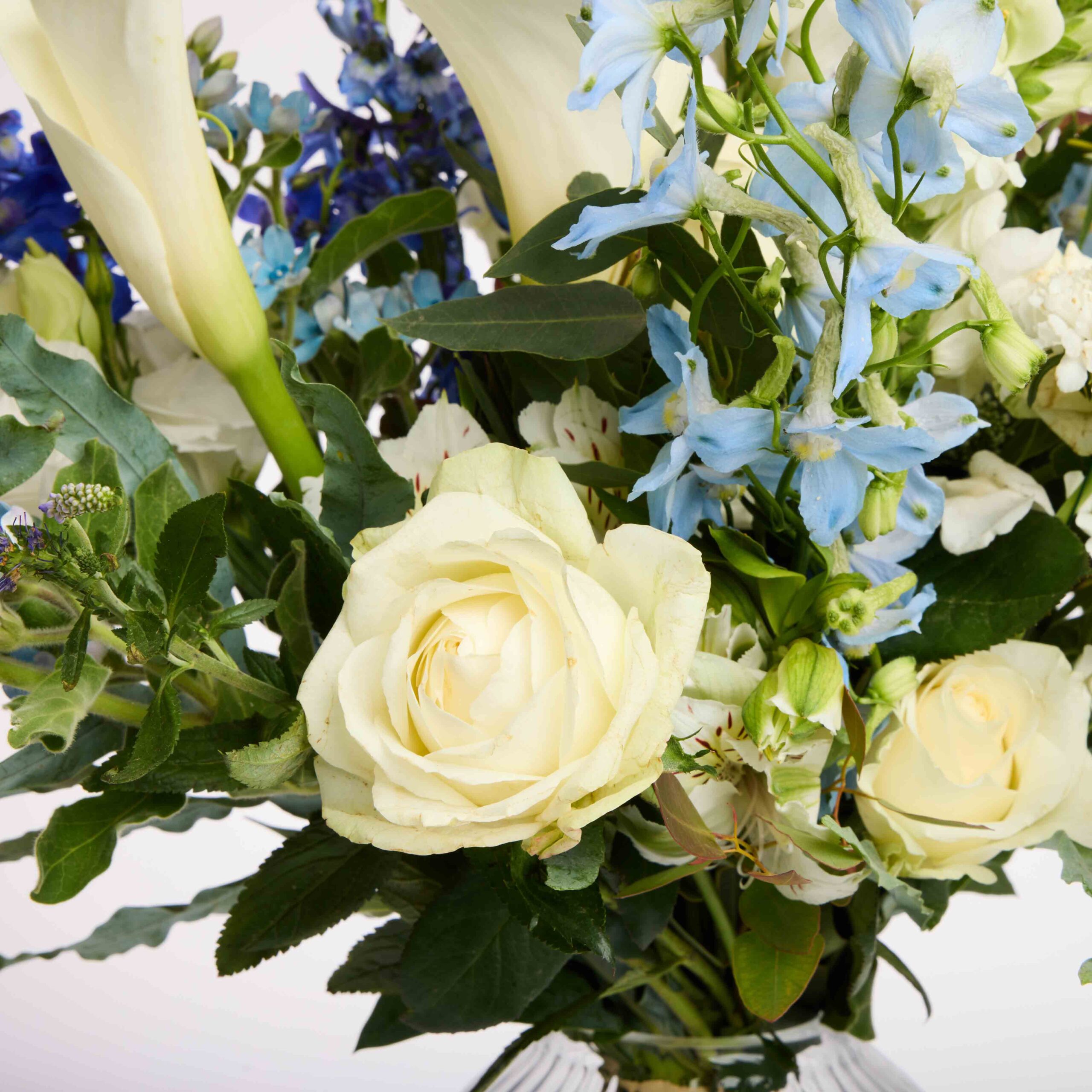 חלום כחול ללידה – תמונה 4