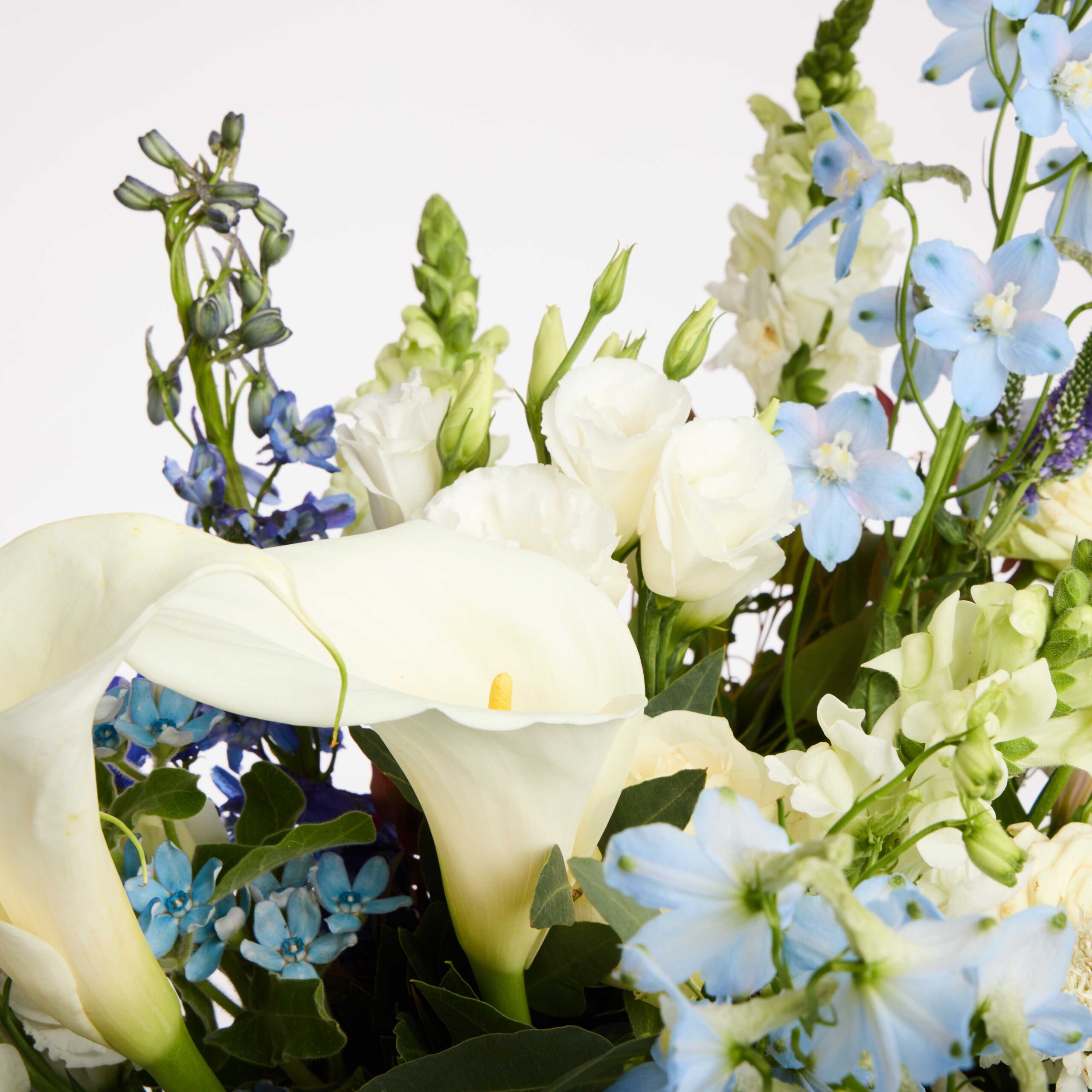 חלום כחול ללידה – תמונה 3