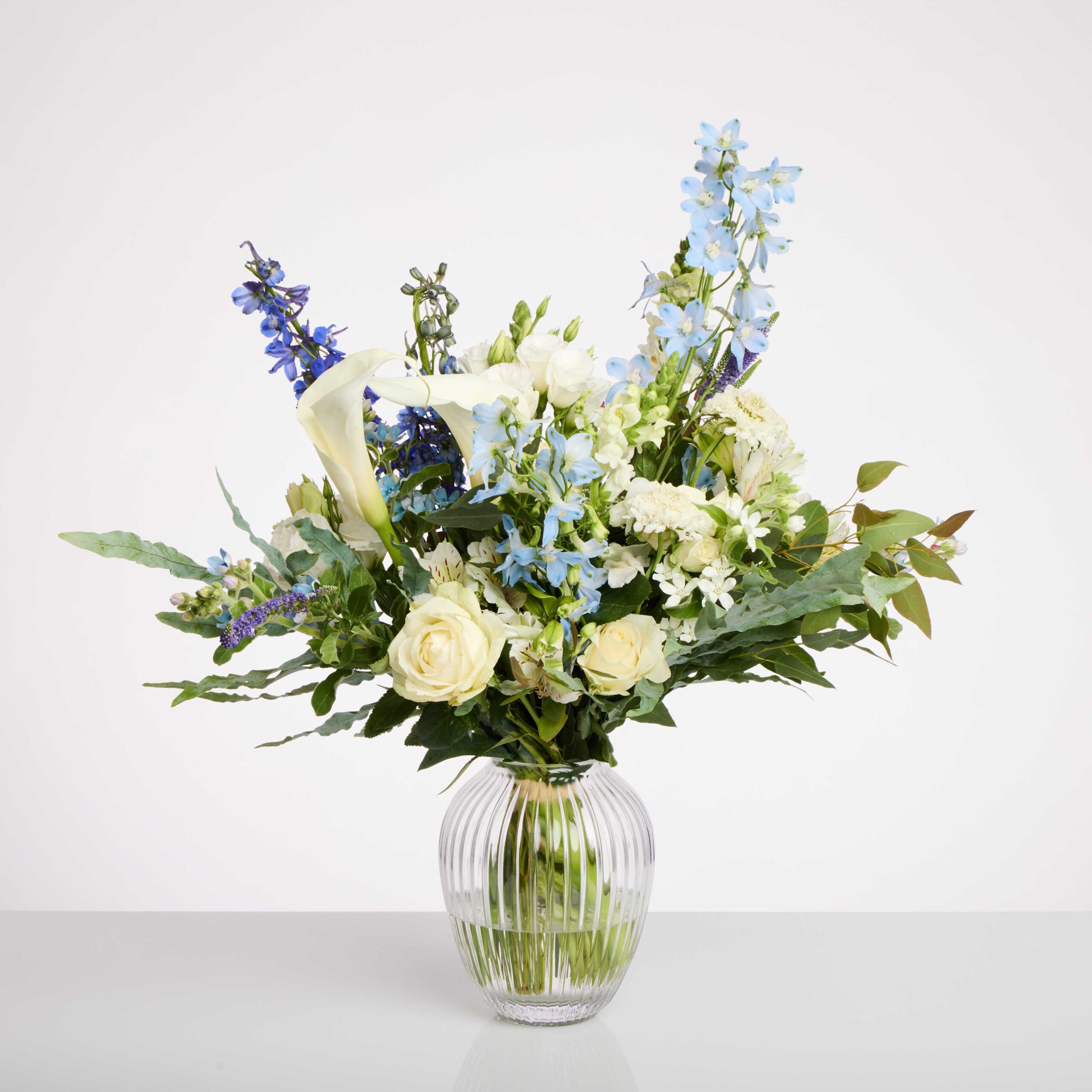 חלום כחול ללידה