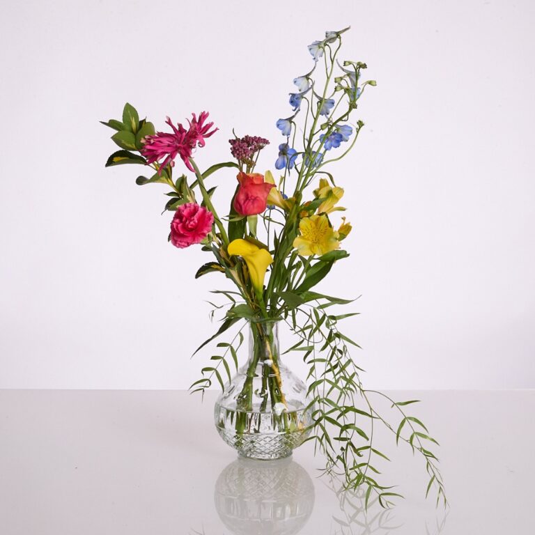 wild charm color - 1