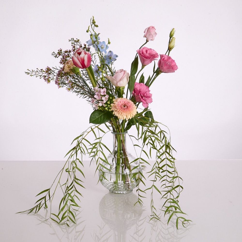 Wild Charm – תמונה 3