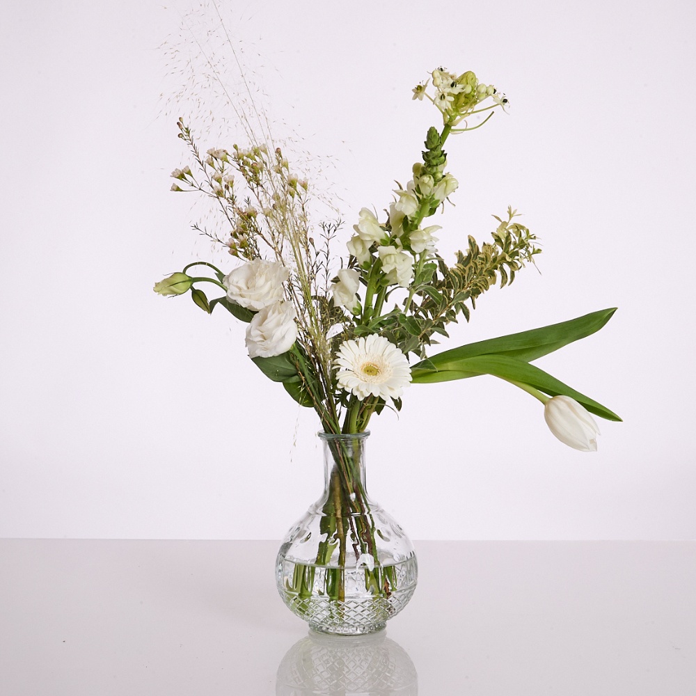 Wild Charm – תמונה 2