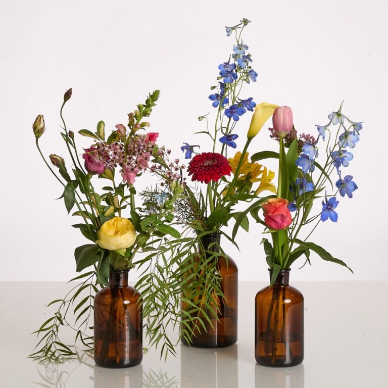 wild trio amber color - 2