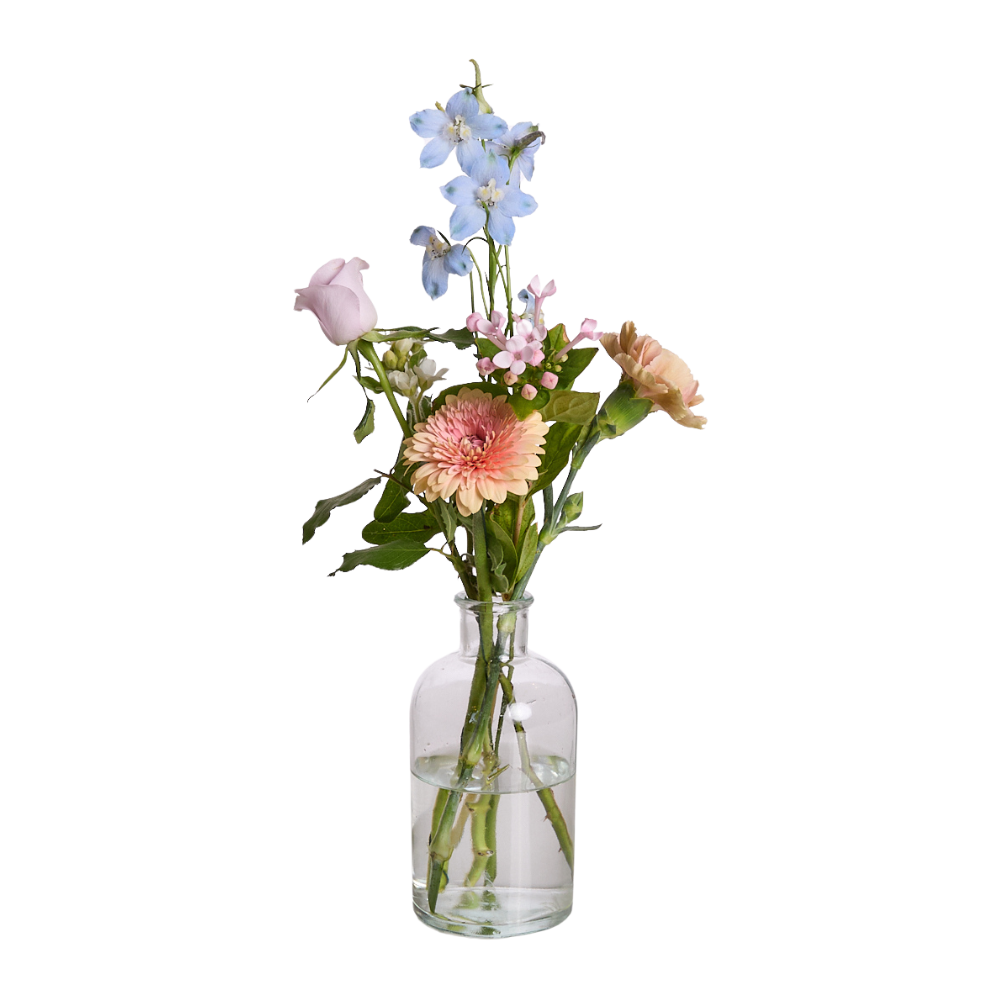 wild trio clear pastel - 3 (1)