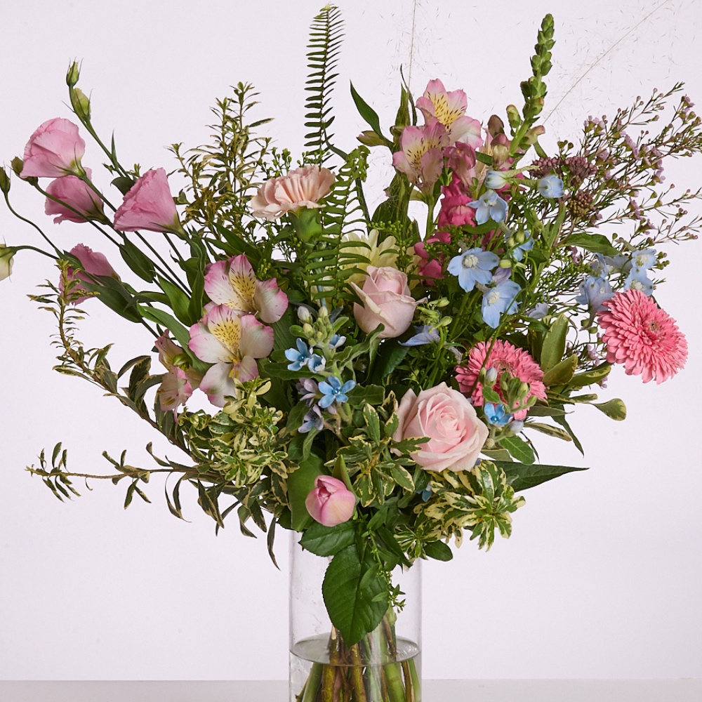 קטיה חורפי – תמונה 2