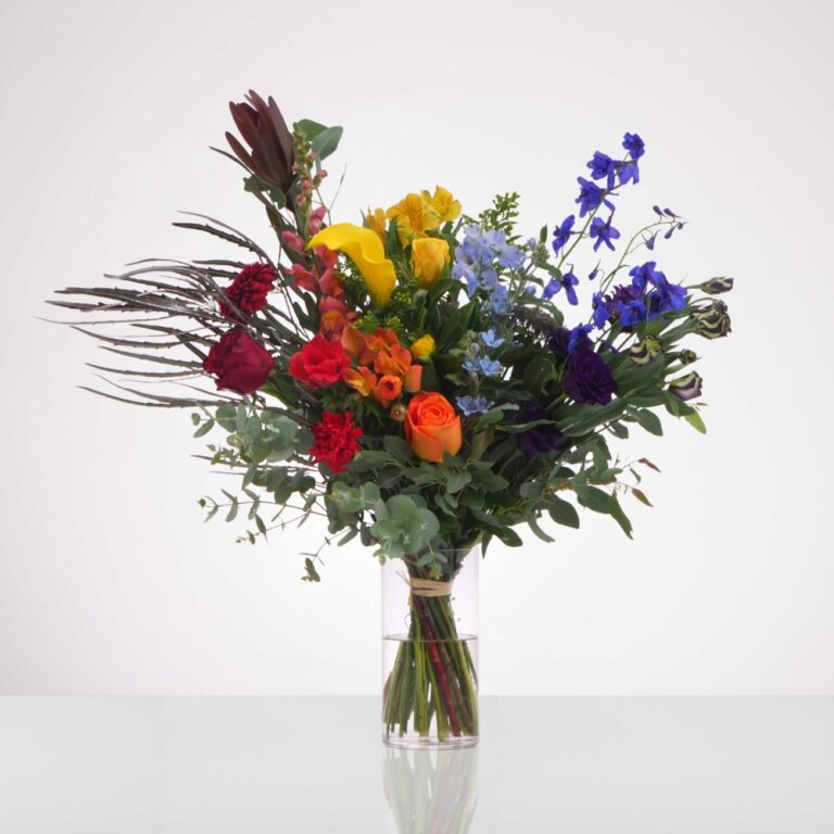 ג'ף קונץ חורפי