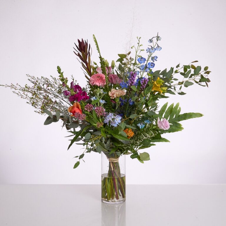 צבעוני חורף -1