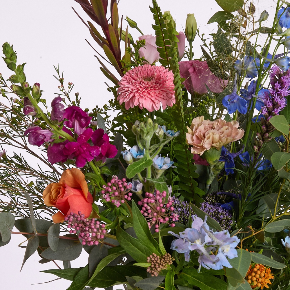 רוח צבעים – תמונה 2