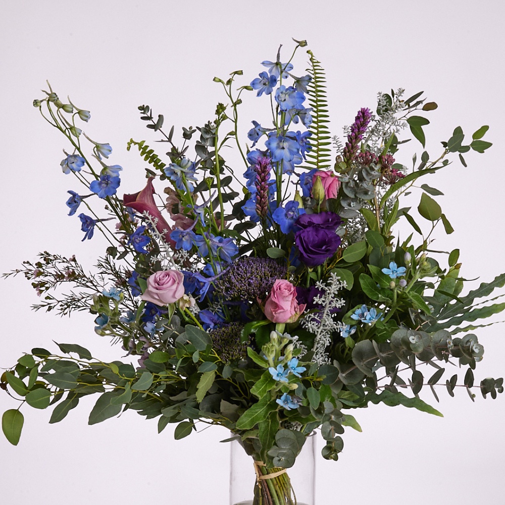 קסניה חורפי – תמונה 2