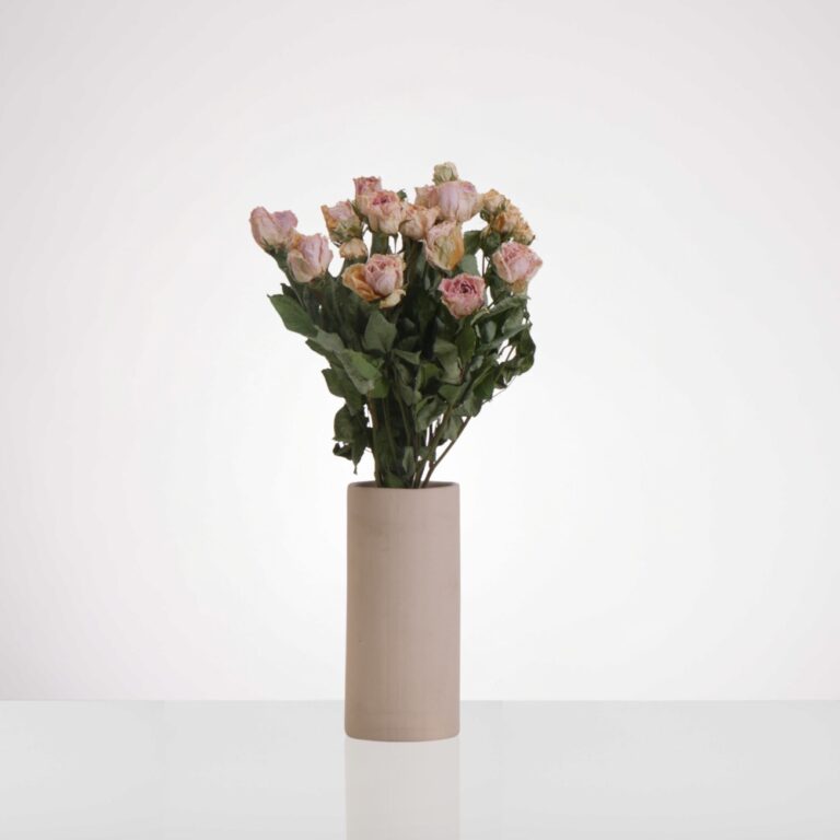 ורד אושן מיובש - כלי עדי ניסני