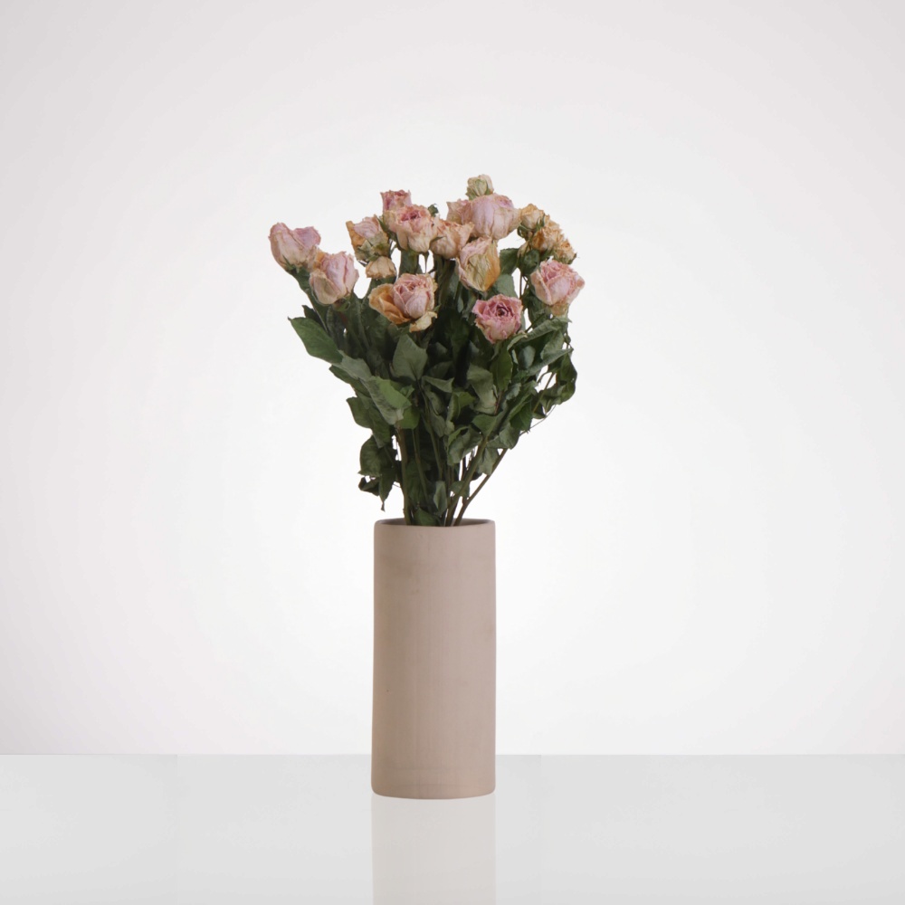 אגד ורדי "אושן" מיובשים