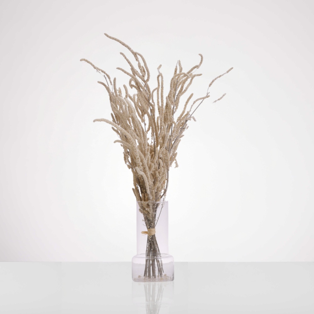 אגד ענפי כיסופית – תמונה 2