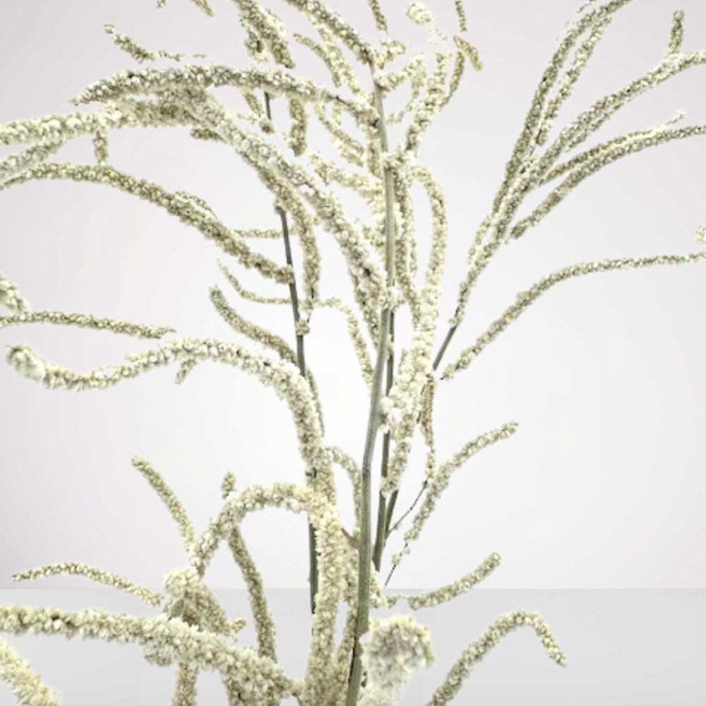 אגד ענפי כיסופית – תמונה 3