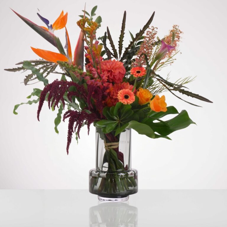 כלי מיגדלור הזר של איתי