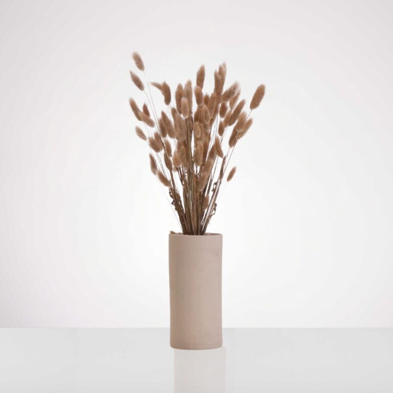 פונפון- כלי עדי ניסני