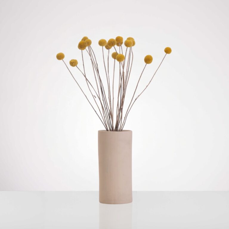 קרספדיה- כלי עדי ניסני