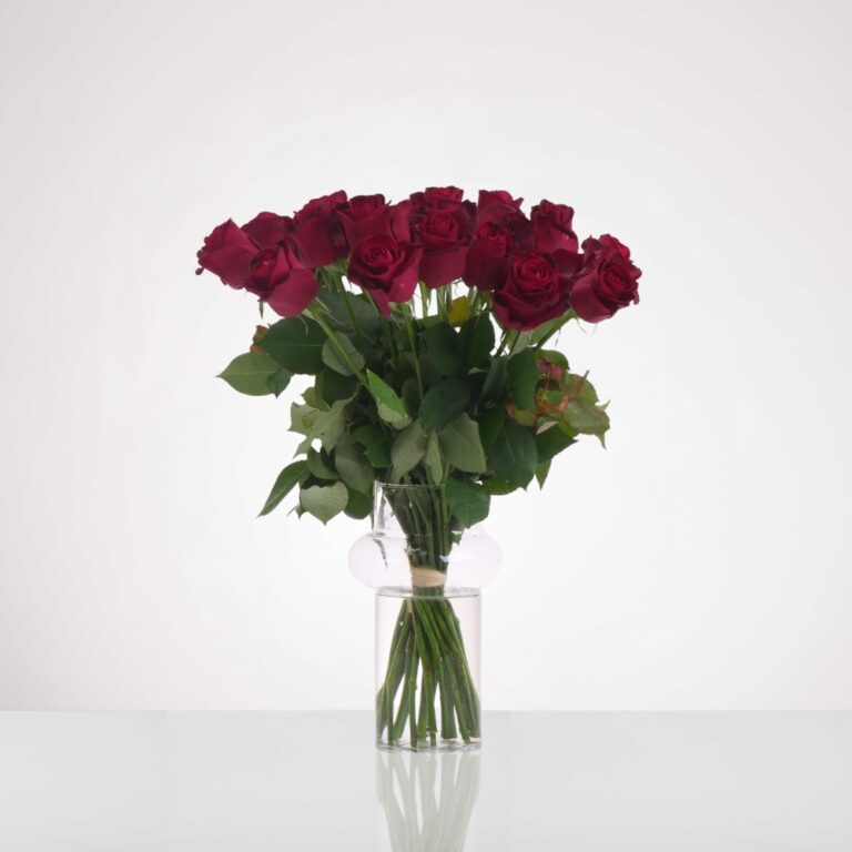 אגרטל אפולו -ורדים 20 יח