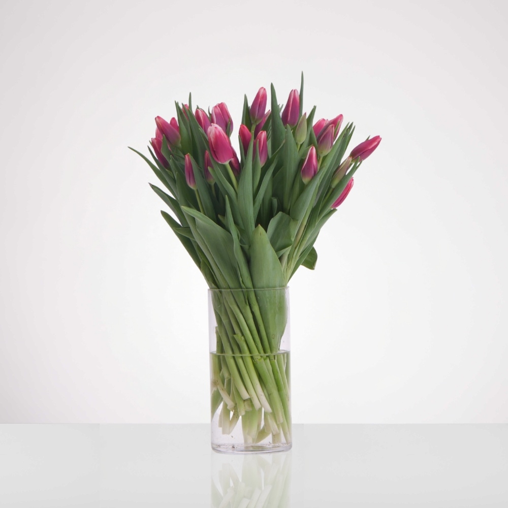 זר טוליפים קלאסי – תמונה 2